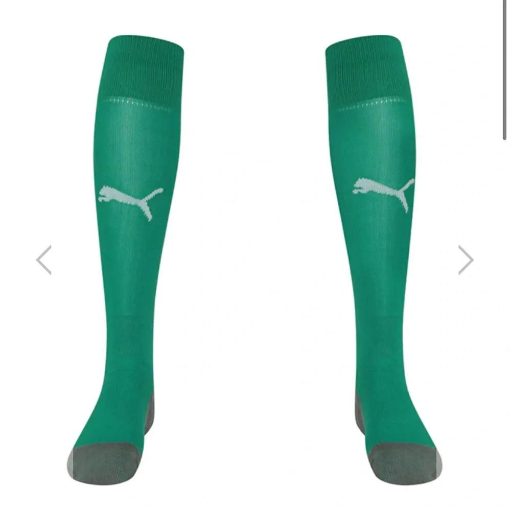 NEW PUMA Liga Core Football Soccer Sock - Pepper Green white sz 7-9 team 703438